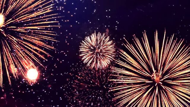 Vibrant Fireworks Exploding Against Night Sky