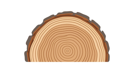 Fototapeta premium Tree Trunk Cross Section.