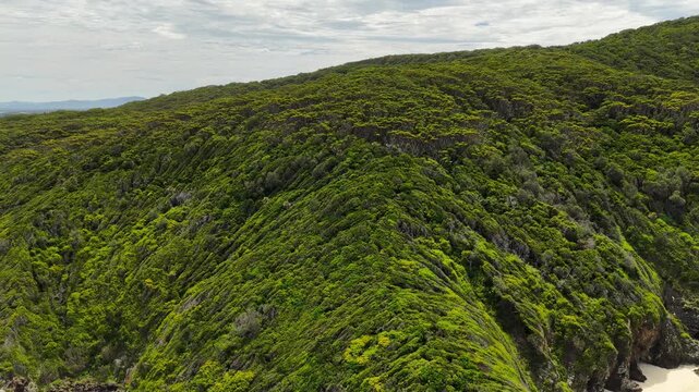 Aerial drone video flying backwards from a tree covered mountain to reveal Sharkies Beach and Seven Mile Beach in Forster separated by a rocky headland. The shot captures the coastline and ocean.