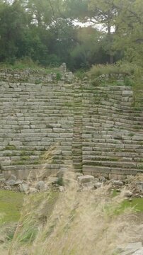 Vertical video. The ancient amphitheater in the city of Phaselis is in ruins and overgrown in the forest. Panorama.