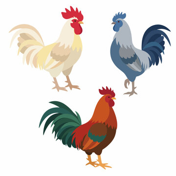 A charming illustration showcasing three colorful roosters standing proudly together against a clean background, symbolizing vibrancy, personality, and the beauty of farm life.