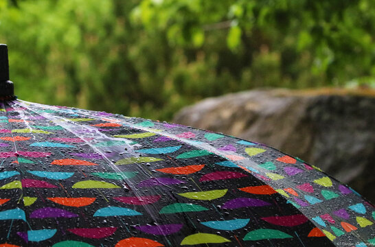 A colorful umbrella with a pattern in the rain at Kathryn Albertson Park in Boise, Idaho.