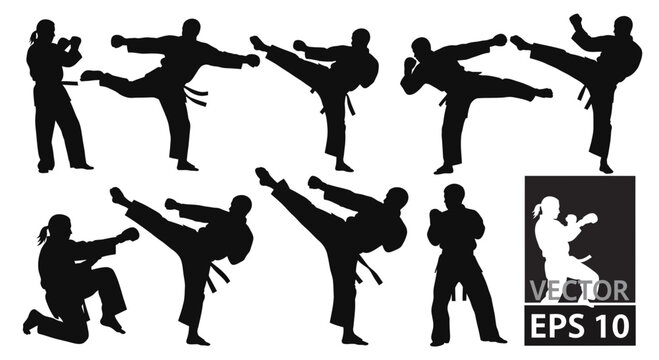 Martial Arts Karate Fighter Silhouettes Collection