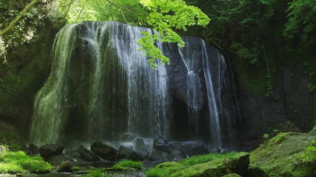 新緑の達沢不動滝