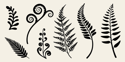 Elegant black silhouettes of various fern and foliage designs © Sujal