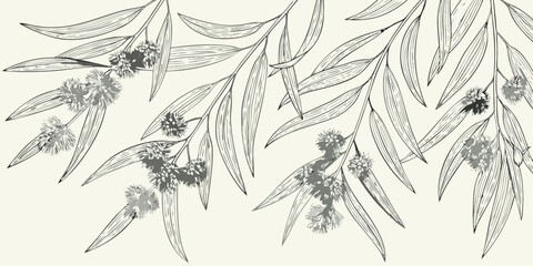 Delicate botanical illustration of eucalyptus branches and blossoming flowers © AnupKumar