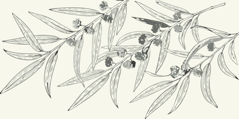 Delicate eucalyptus branches and leaves in a sketched seamless pattern © AnupKumar