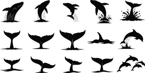 Silhouette of various whale tails isolated on transparent background © mdkamran
