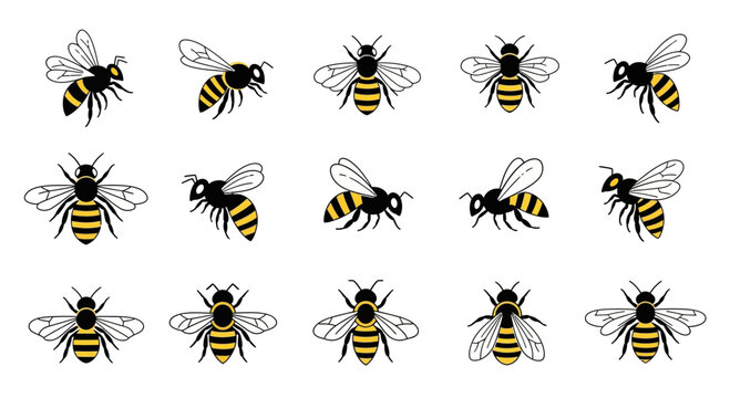 Set of Honey Bee Icons and Illustrations
