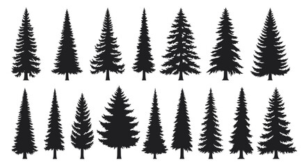 Obraz premium Collection of black pine tree silhouettes on white background for design and decoration