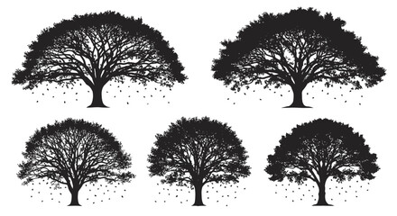 Obraz premium Silhouettes of five trees with falling leaves on white background seasonal autumn illustrations