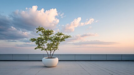 Fototapeta premium Tree in white pot on rooftop terrace with beautiful cloudscape background at sunset
