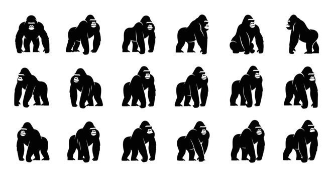 Collection of gorilla silhouettes in various poses on white background for design and illustration