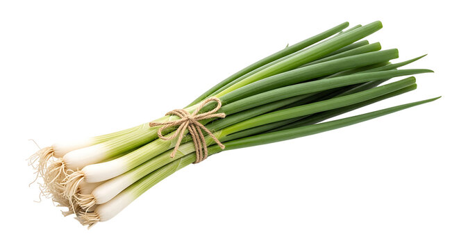 A bunch of fresh green onions tied together PNG isolated on transparent background