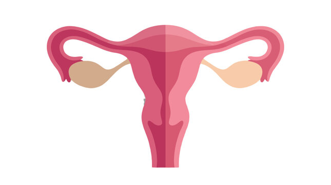 A detailed illustration of the female reproductive anatomy, showcasing the uterus and ovaries in a vibrant, educational design aimed at promoting awareness of women's health.