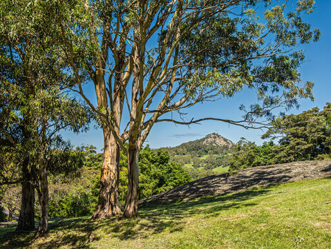 Central Tilba View Across To Granite Mountain