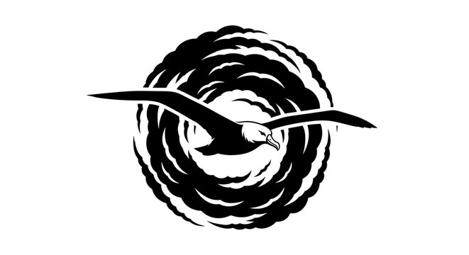 Seagull in Flight Circle.