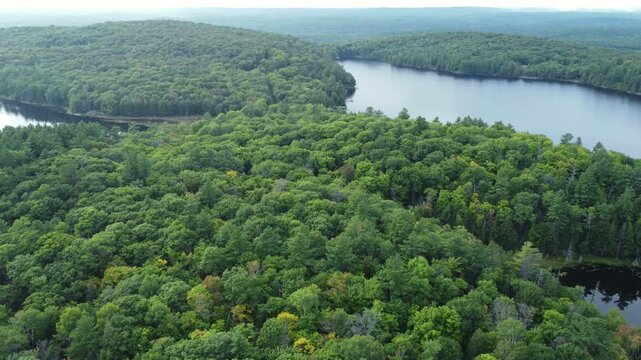 Flying over Buckskin Lake on an overcast, late summer afternoon. Aerial, tilting down, above expansive wilderness of crown land located in Tory Hill, Halliburton Highlands East, Ontario, Canada.