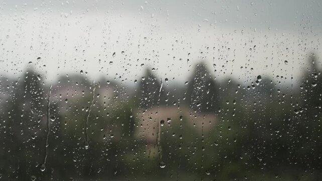 Looking through window during rain storm. Rain drops in focus. Out of focus forest in background, beyond window.