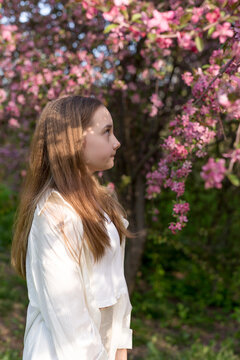 Portrait of young beautiful girl posing near blossom tree with pink flowers. Concept - spring, blooming, a walk through the garden