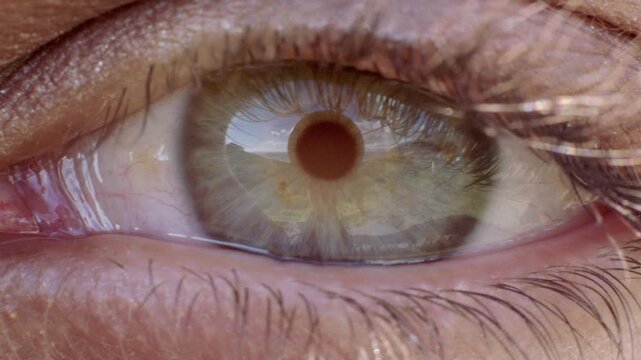 Closeup, focus and vision with green eye of woman for awareness, contact lenses or optometry. Detail, macro and perception with eyeball of person in ophthalmology appointment, eyesight or test stare