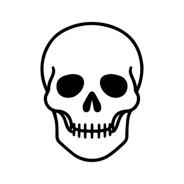 anatomical scull line icon, outline vector image
Vector line icon on a white background
Health, anatomy
