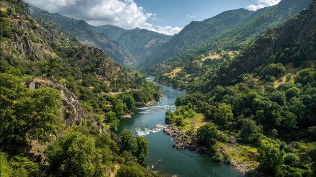 Scenic River Valley Surrounded by Lush Green Mountains and Dramatic Cloudy Sky in Nature, Capturing the Beauty and Serenity of Wilderness Landscapes