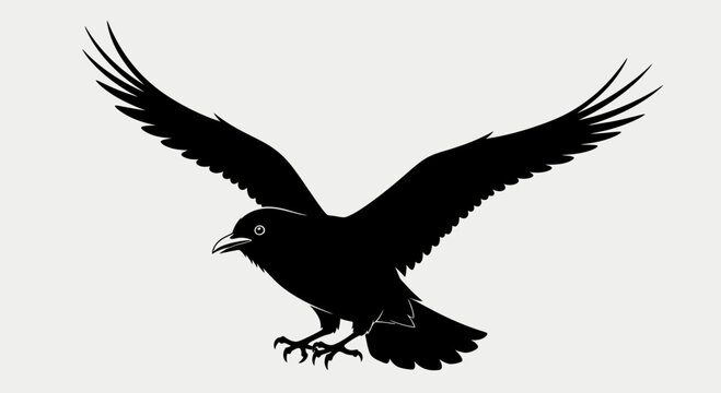 in flight with wings spread against a blue sky