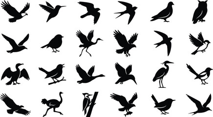 Comprehensive Black Bird Silhouette Icon Set Featuring Eagles Hummingbirds Owls Swallows Herons and Woodpeckers for Nature Wildlife and Graphic Design Projects © MdSohanurRahman