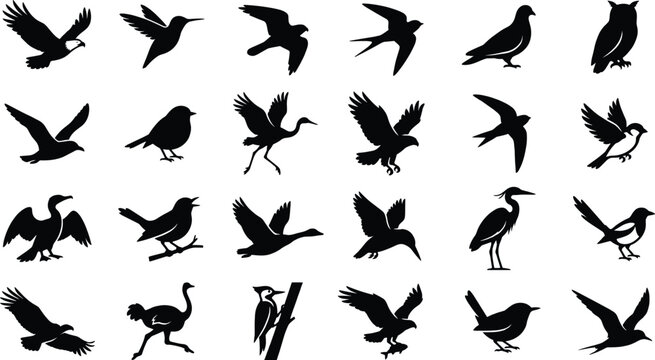Comprehensive Black Bird Silhouette Icon Set Featuring Eagles Hummingbirds Owls Swallows Herons and Woodpeckers for Nature Wildlife and Graphic Design Projects