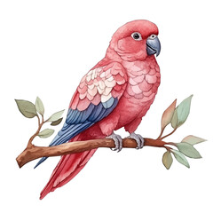 Cockatoo, high quality watercolor, isolated on a white background, vibrant details. © teralis