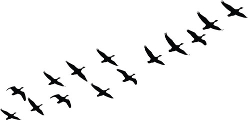 Silhouette of a flock of wild geese flying in V formation against a white background, perfect for minimalist vector designs, nature-themed illustrations and clean graphics. © MstRupali
