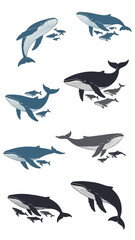 Obraz premium Collection of stylized whale illustrations showing diverse poses and smaller fish swimming