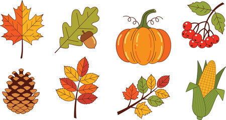 Autumn harvest elements illustration set with pumpkin leaves acorn pinecone corn berries and fall season nature collection © MdAbuSayed
