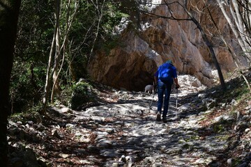 Obraz premium Mann und sein Lagotto Romagnolo Hund wandern im Trentino