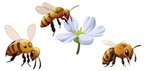 Bees gather nectar from white flowers in a garden setting during daytime © Iryna