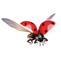 Fototapeta premium Ladybug with open wings flying in the sky during daytime, showcasing vibrant colors and delicate features of a common insect
