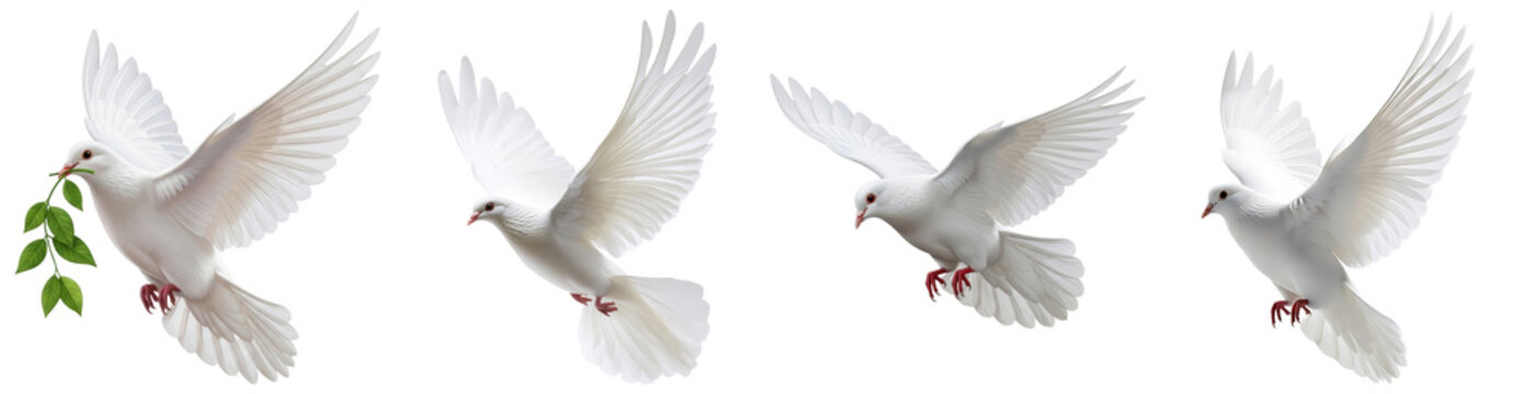 Multiple graceful white doves in elegant flight, one carrying an olive branch, symbolizing peace and freedom.