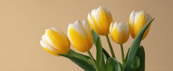 Naklejka premium Miniature tulips in yellow and white against a beige backdrop showcasing natural elegance and floristry.