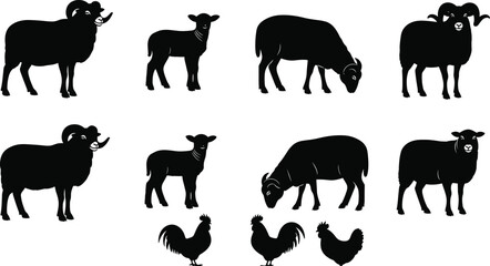 Obraz premium Black silhouette farm animals collection with sheep, rams, lambs, roosters, and hen illustrations for agriculture design