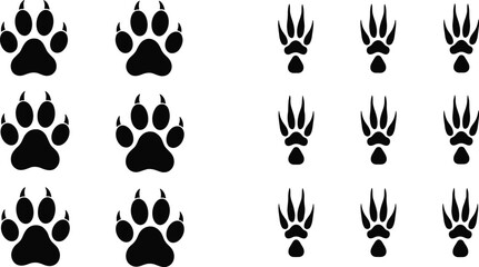 Educational comparison of animal paw prints showing canine feline tracks versus bear footprints in grid format illustration © Rokon