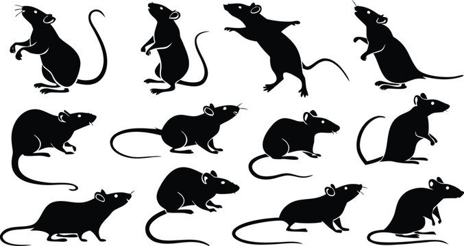 Collection of various rat silhouettes in different poses and orientations