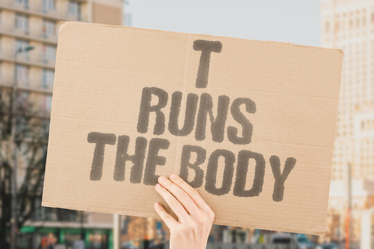 "T Runs The Body" From cardiovascular function to immune response, testosterone plays a broader biological role than most people realize. TESTOSTERONE. HORMONE. HEALTH. ESSENTIAL. BIOLOGY.