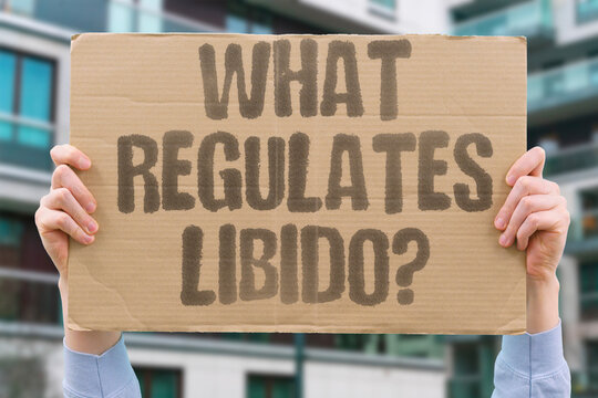 "What Regulates Libido?" The hormonal axis linking the brain, pituitary, and gonads is the primary regulator of sexual desire. LIBIDO. TESTOSTERONE. HORMONE. HEALTH. BRAIN.