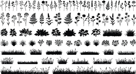 Mega botanical silhouettes set, wildflowers bushes and grass borders collection, meadow nature elements bundle, decorative black vector illustration isolated background © jamiul