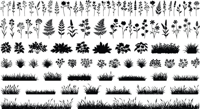 Mega botanical silhouettes set, wildflowers bushes and grass borders collection, meadow nature elements bundle, decorative black vector illustration isolated background