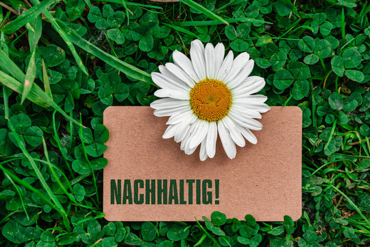 Nachhaltig!