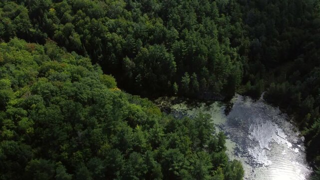 Aerial wilderness of crown land  in the Tory Hill, Halliburton Highlands East, in Ontario, Canada. Over an evergreen forest and a shadowed long stream near Buckskin Lake on an overcast, summer day.