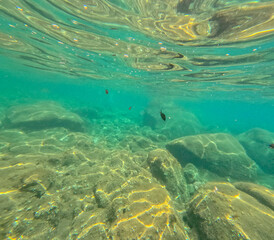 Obraz premium Ischia is a volcanic island in Italy's Tyrrhenian Sea, located in the Gulf of Naples, known for its natural beauty Underwater image snorkelling in summer