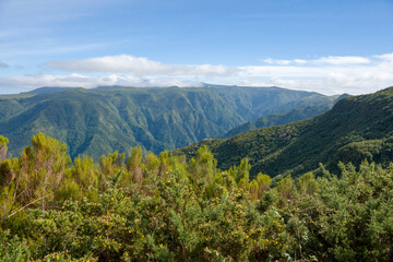 Fototapeta premium Rabacal foothpaths in Madeira island Portugal green landscape mountain with levadas.